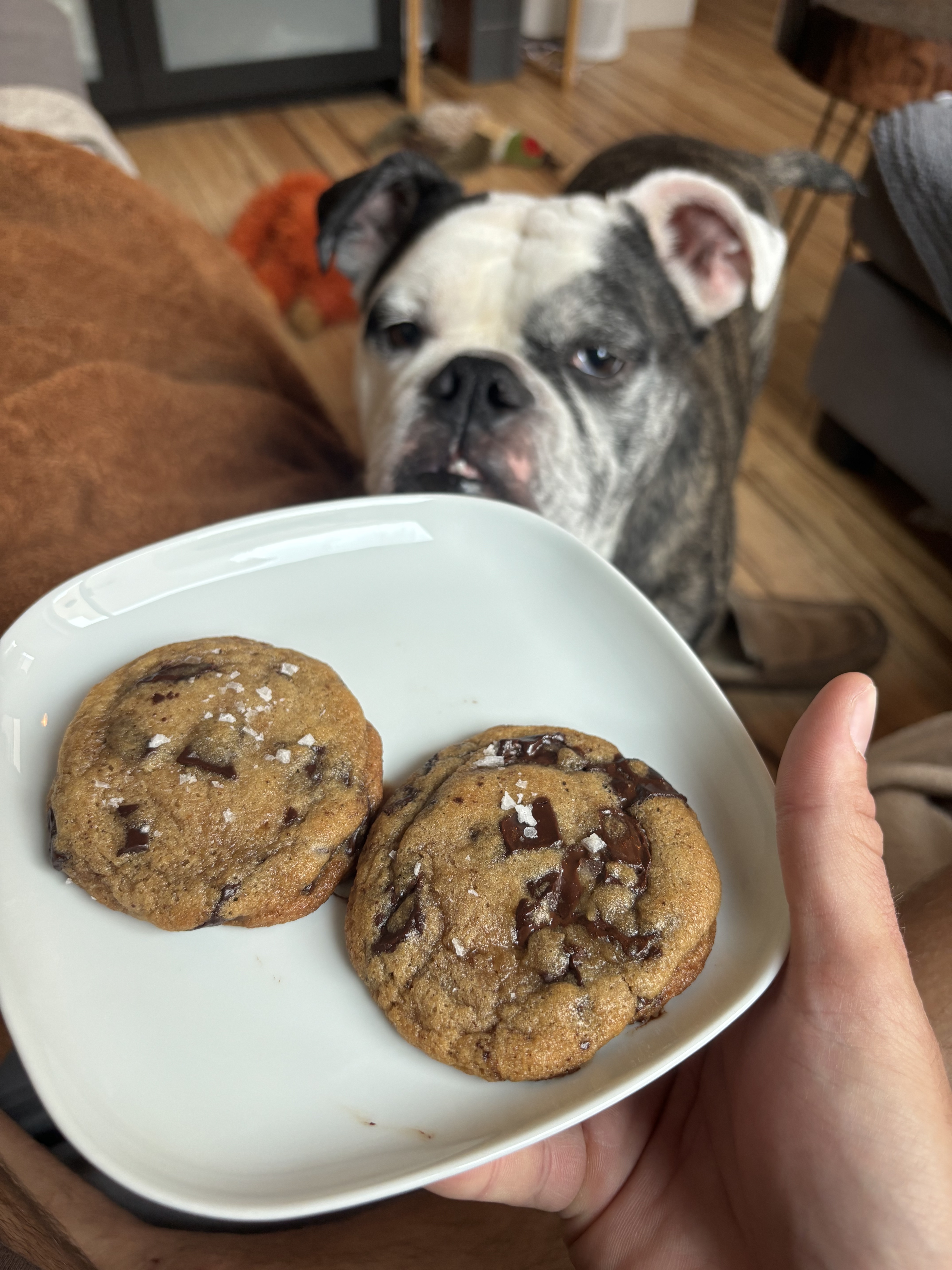 Chocolate Chip Cookies